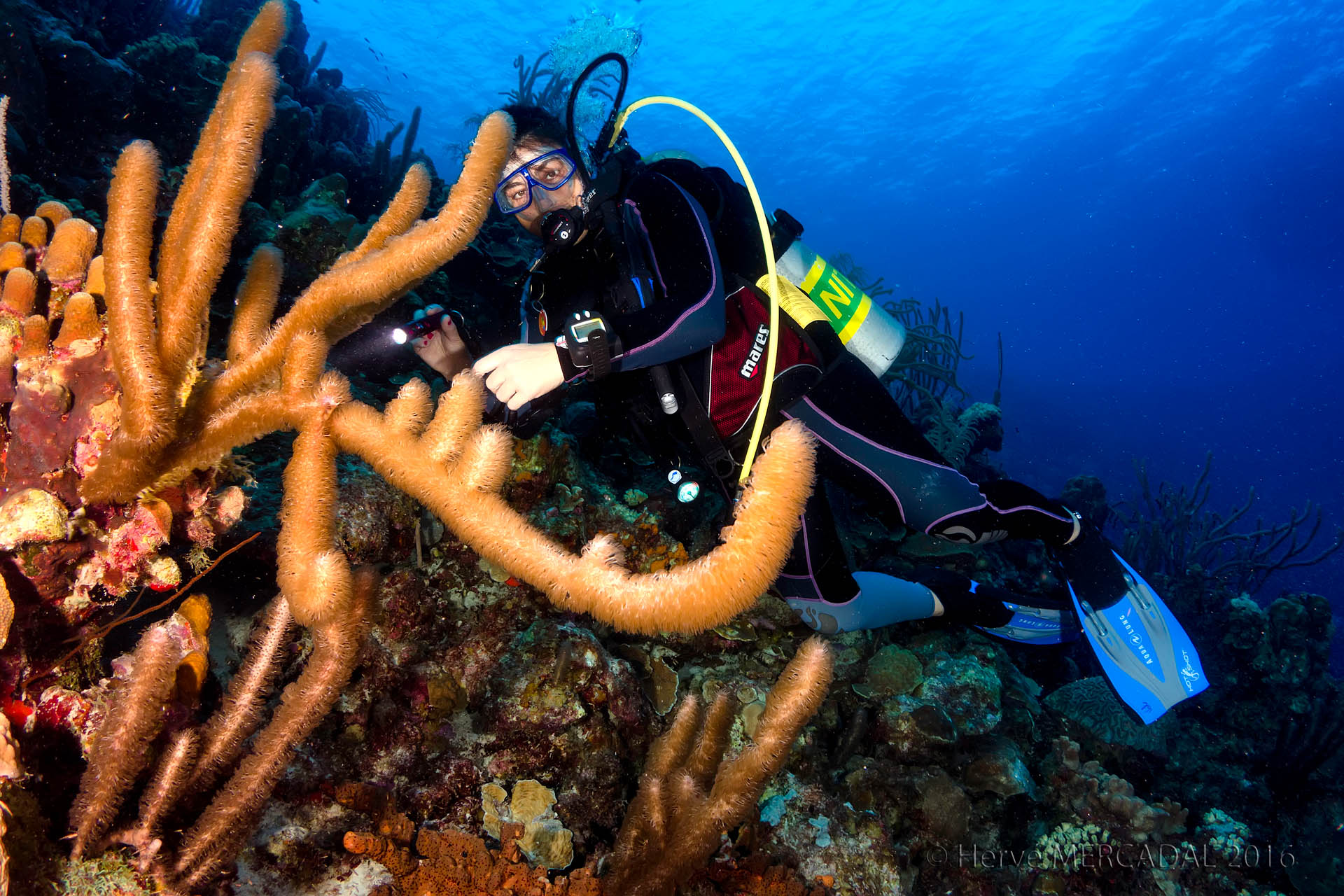 Bonaire, 21 octobre 2016
