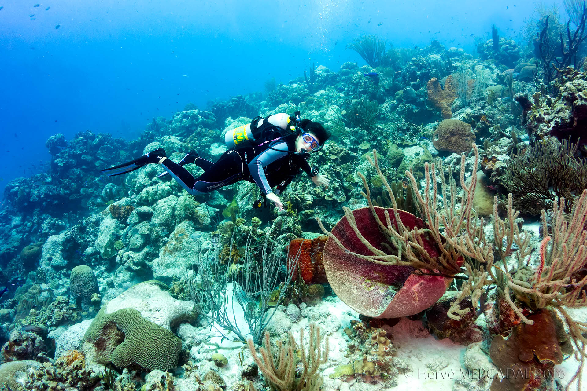 Bonaire, 21 octobre 2016